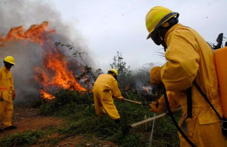 El período enero-mayo es el más propicio para los incendios forestales en Cuba. Foto: Agustín Borrego / Trabajadores.