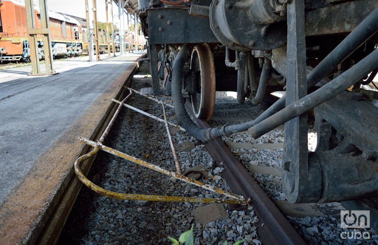 Foto: Otmaro Rodríguez.