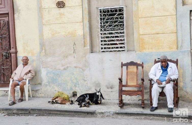 Foto: Kaloian.