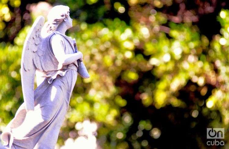 Cementerio Colón. Foto: Luis Gabriel.