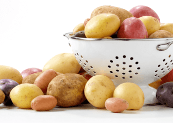 Foto: Potatoes USA.