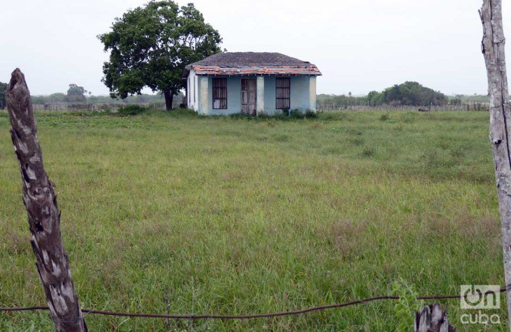 La misteriosa construcción está ubicada a unos 100 metros de la carretera, en la zona conocida como Palmarito. Foto: Ronald Suárez. 