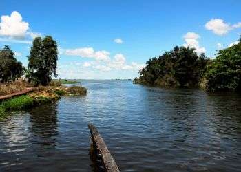 Laguna de Tesoro. Ciénaga de Zapata. Foto: Cristina Gil.