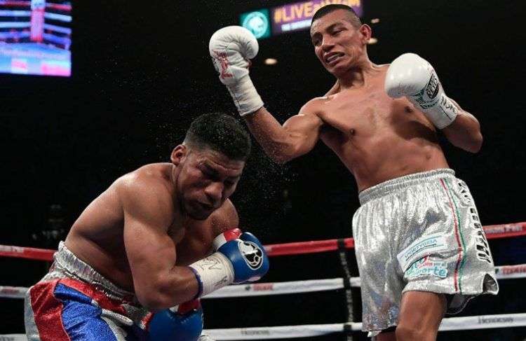 Foto: soloboxeo.com.