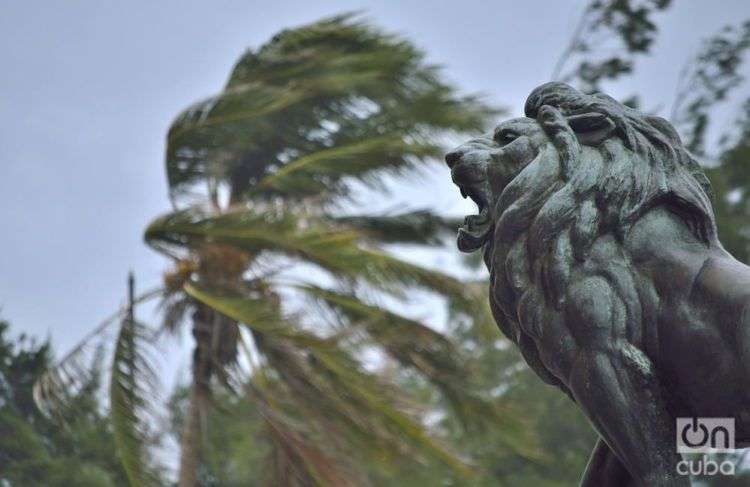 La Habana después de Irma. Foto: Otrmaro Rodríguez.