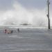 En la Habana, después del huracán Irma. Foto: Claudio Pelaez Sordo.