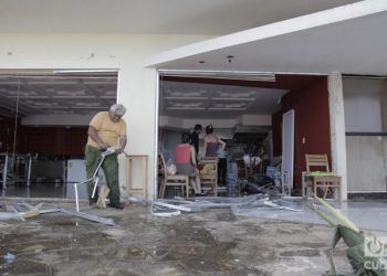 Huellas del huacán Irma en La Habana. Foto: Claudio Pelaez Sordo.