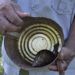 El caracol gigante africano se ha expandido por toda Cuba en pocos años. Foto: Otmaro Rodríguez / Archivo.