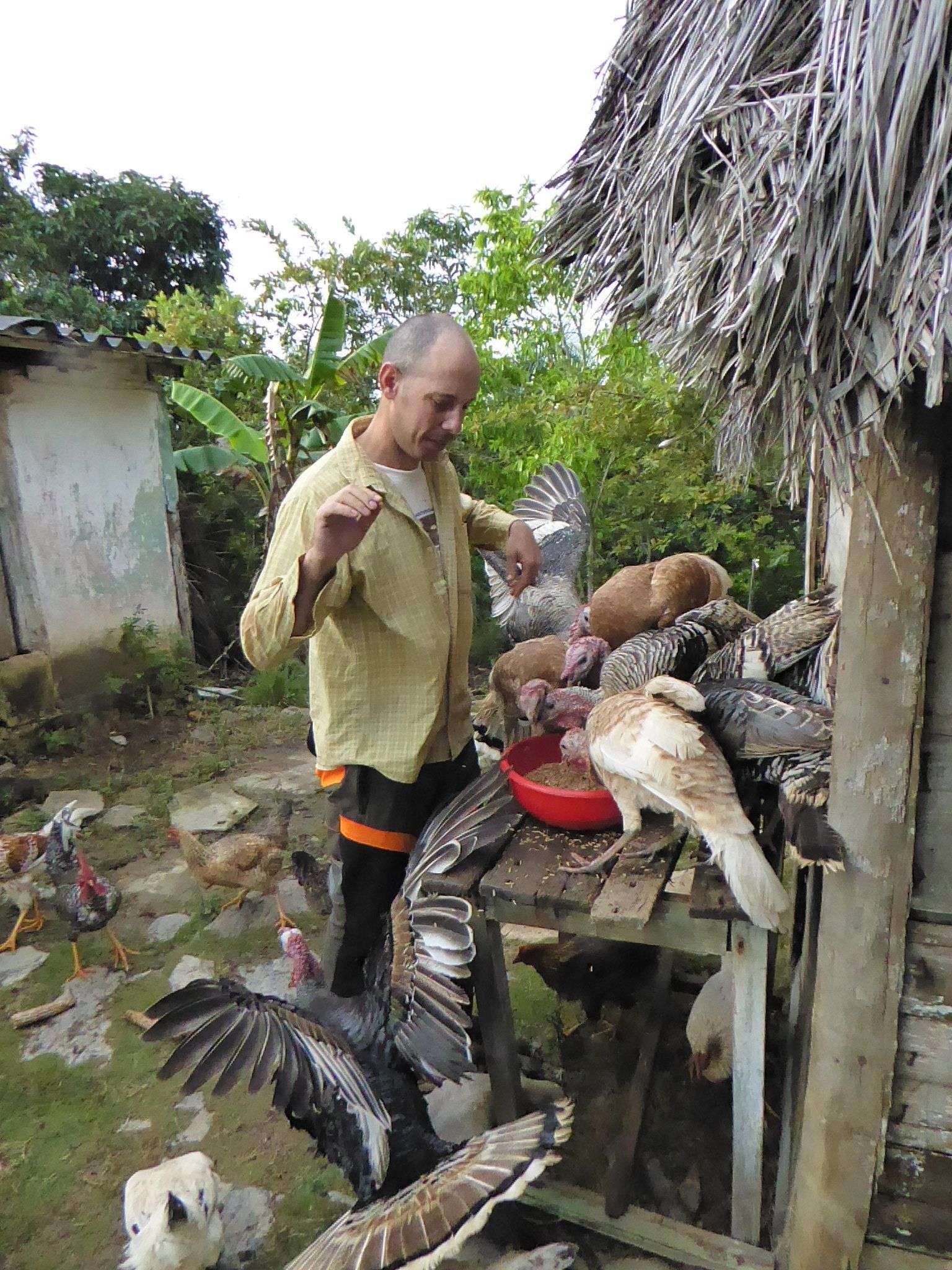 Ariel Ruiz Urquiola en su finca "El Infierno" en Viñales, Pinar del Río. Foto: Cortesía de la familia.