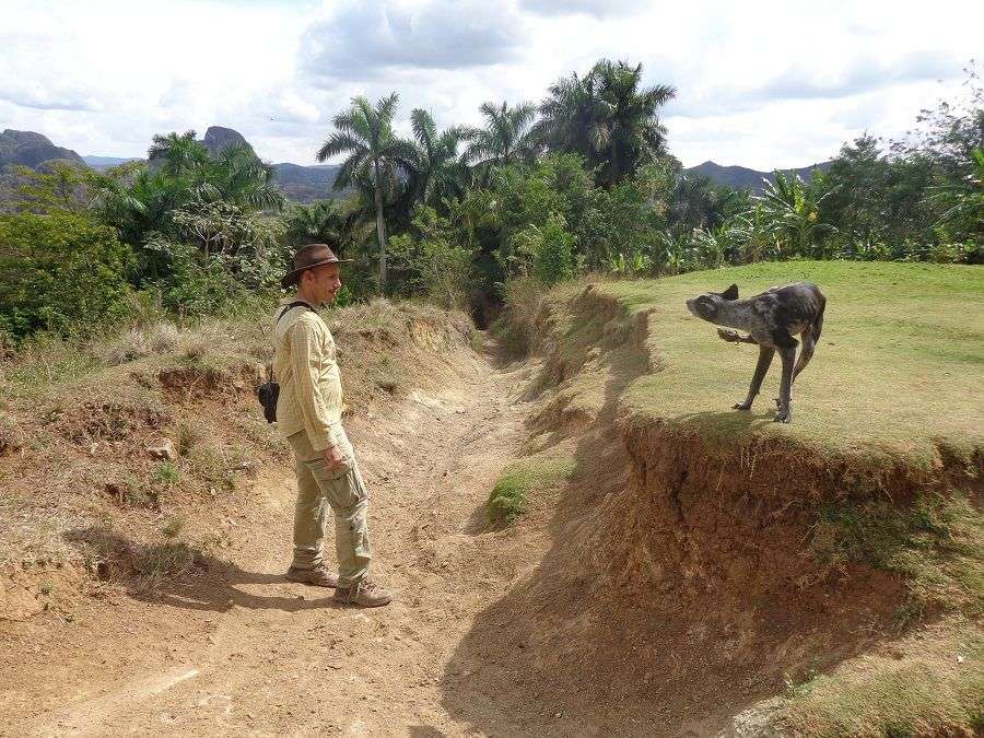 Midiendo la casa Ariel Ruiz 2015 (1)