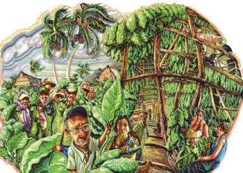 Una de las ilustraciones de Roberto Sánchez Terreros para el libro "Cuba y el Tabaco". Foto: El Mundo.