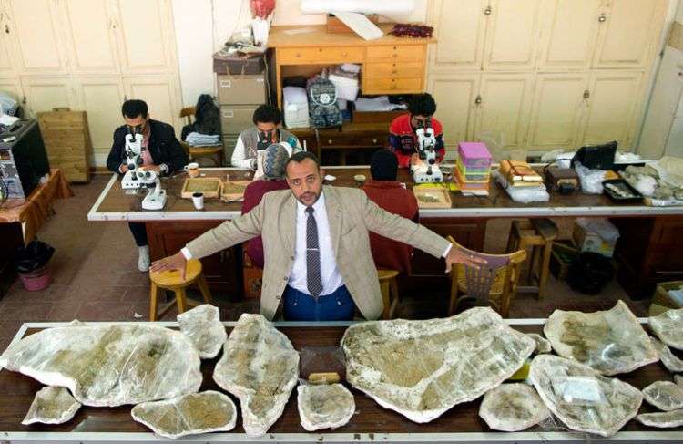 Hesham Sallam, responsable del Centro de Paleontología de Vertebrados en la Universidad de Mansoura, muestra huesos de un dinosaurio del Cretácico en Mansoura, Egipto. Foto: Amr Nabil / AP.