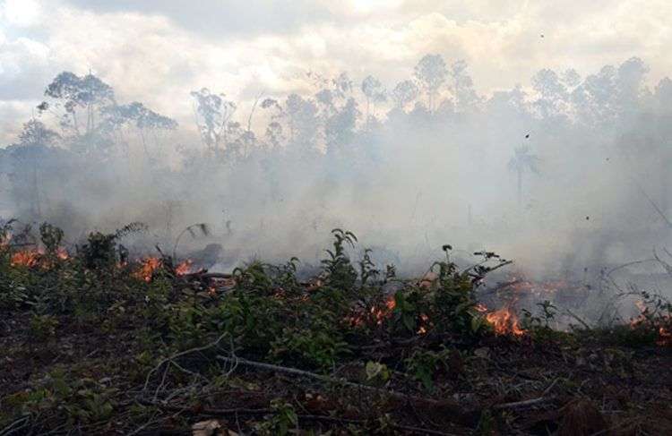 Gran incendio forestal en Pinar del Río. Foto: Daimí Díaz Breijo / Tele Pinar.