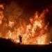 Las llamas del incendio forestal al norte de Ventura, California, el 6 de diciembre del 2017. Foto: Noah Berger / AP.