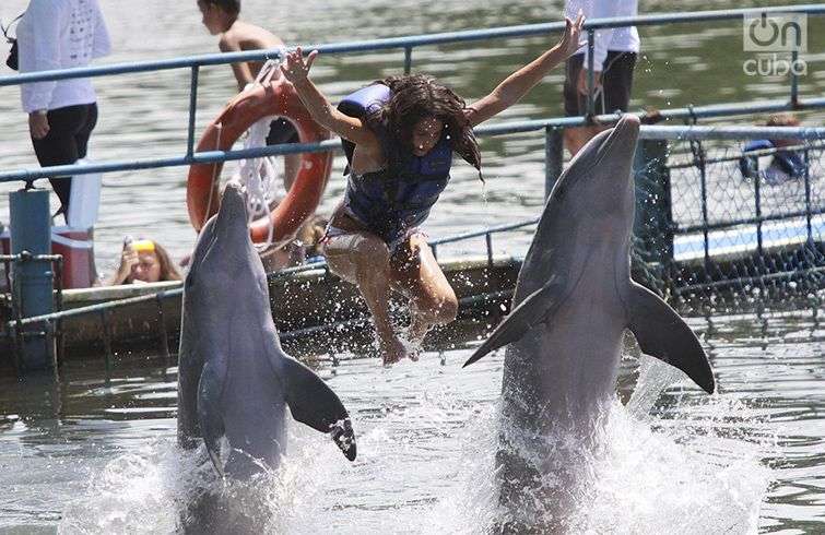 Nadando con delfines. Foto: Otmaro Rodríguez.