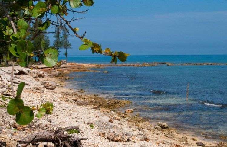 Playa El Salado. Foto: cuba-divers.info