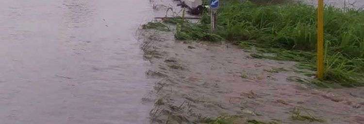 Crecida del río Zaza donde se cruza con la Carretera Central. Foto: Yoán Pérez / Escambray.