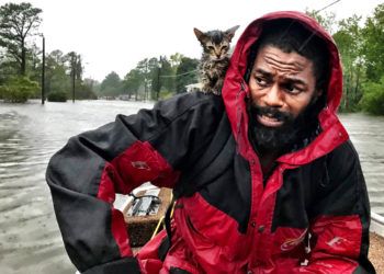 Un miembro de la Guardia Costera camina entre las aguas de una inundación causada por Florence en Newport, Carolina del Norte. Foto: Tom Copeland / AP.