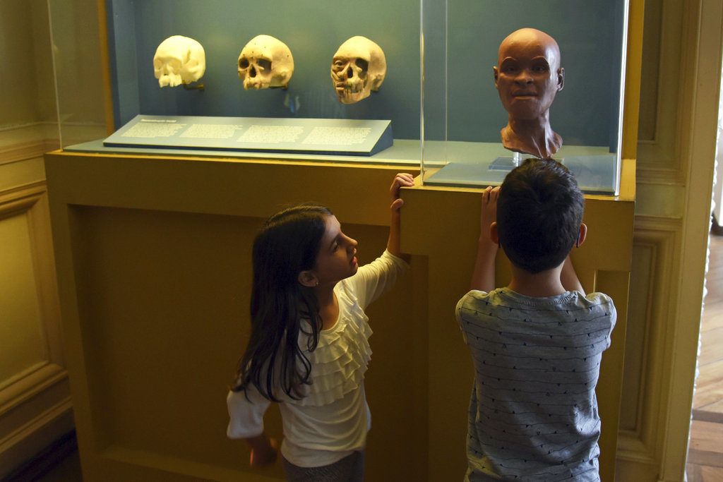 ARCHIVO - Esta fotografía de archivo sin fecha proporcionada por Riotur muestra el fósil humano más antiguo que se haya encontrado en Brasil, de nombre Luzia, en el Museo Nacional de Río de Janeiro. (Alexandre Macieira/Riotur vía AP, archivo)