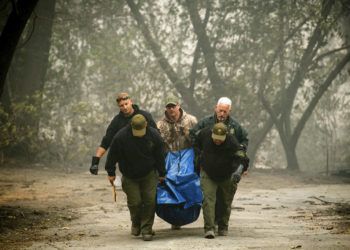 Agentes del sheriff cargan restos humanos en un barrio destruido por un incendio forestal el sábado 10 de noviembre de 2018, en Paradise, California. Foto: Noah Berger / AP.