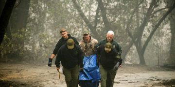 Agentes del sheriff cargan restos humanos en un barrio destruido por un incendio forestal el sábado 10 de noviembre de 2018, en Paradise, California. Foto: Noah Berger / AP.