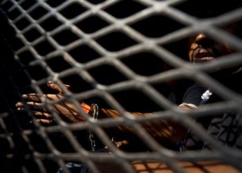 Un hombre que es parte de la caravana de migrantes centroamericanos, dentro de una camioneta de la policía después de ser arrestado, de acuerdo a las autoridades, por fumar marihuana, en Tijuana, México, el miércoles 21 de noviembre de 2018. Foto: Ramon Espinosa / AP.