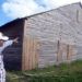 Casa de tabaco en Pinar del Río con un nuevo diseño de puntal más bajo, que protege mejor a las hojas contra los efectos de intensas lluvias y tormentas. Foto: Ronald Suárez / Granma.