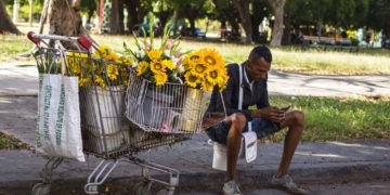 Un vendedor de flores se toma un descanso para navegar en internet con su teléfono móvil en La Habana, Cuba, el 6 de diciembre de 2018. Foto: Desmond Boylan / AP.