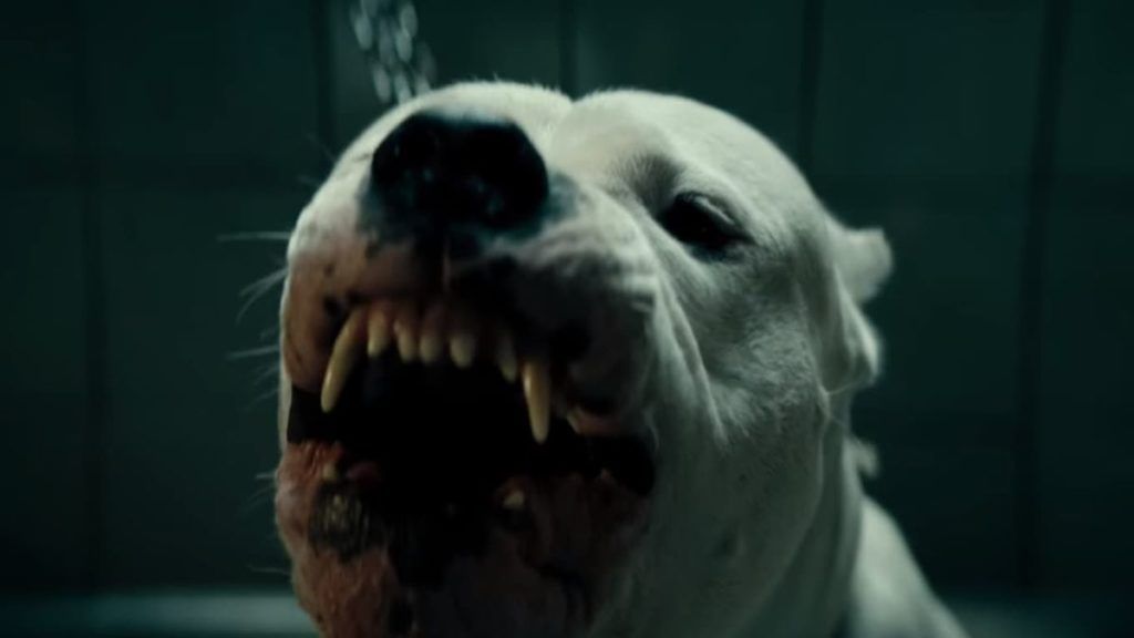 "Dogman", de Matteo Garrone.