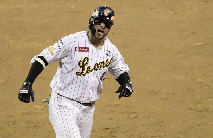 El cubano Félix Pérez con el uniforme de los Leones del Caracas. Foto: @leones_cbbc / Twitter.