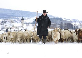 Un pastor dirige a un rebaño de ovejas y cabras sobre los campos cubiertos de nieve cerca de la aldea Langenenslingen-Wilflingen en Alemania, el viernes 11 de enero de 2019. Foto: Thomas Warnack / dpa vía AP.