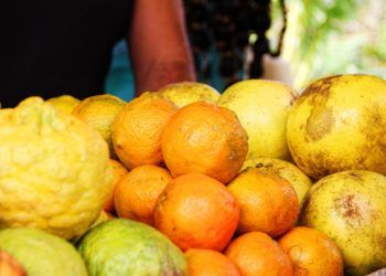 ¿Por qué no permitir cooperativas de segundo grado para la exportación de frutas desde Cuba Foto: pxhere.com