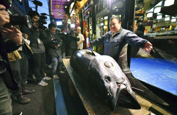 El propietario de Kiyomura Corp. Kiyoshi Kimura, a la derecha, posa junto al atún aleta azul que compró en una subasta durante la subasta de Año Nuevo frente a su restaurante Sushi Zanmai en Tokio, el sábado 5 de enero de 2018. Foto: Koki Sengoku / Kyodo News vía AP.