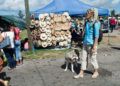 En las afueras de la fortaleza de San Carlos de La Cabaña, durante la Feria Internacional del Libro de La Habana 2019. Foto: Otmaro Rodríguez.