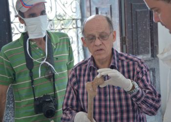 El historiador y antropólogo Ercilio Vento (c) durante la la identificación de la patriota cubana María de la Luz Noriega en el cementerio de Matanzas. Foto: ACN.