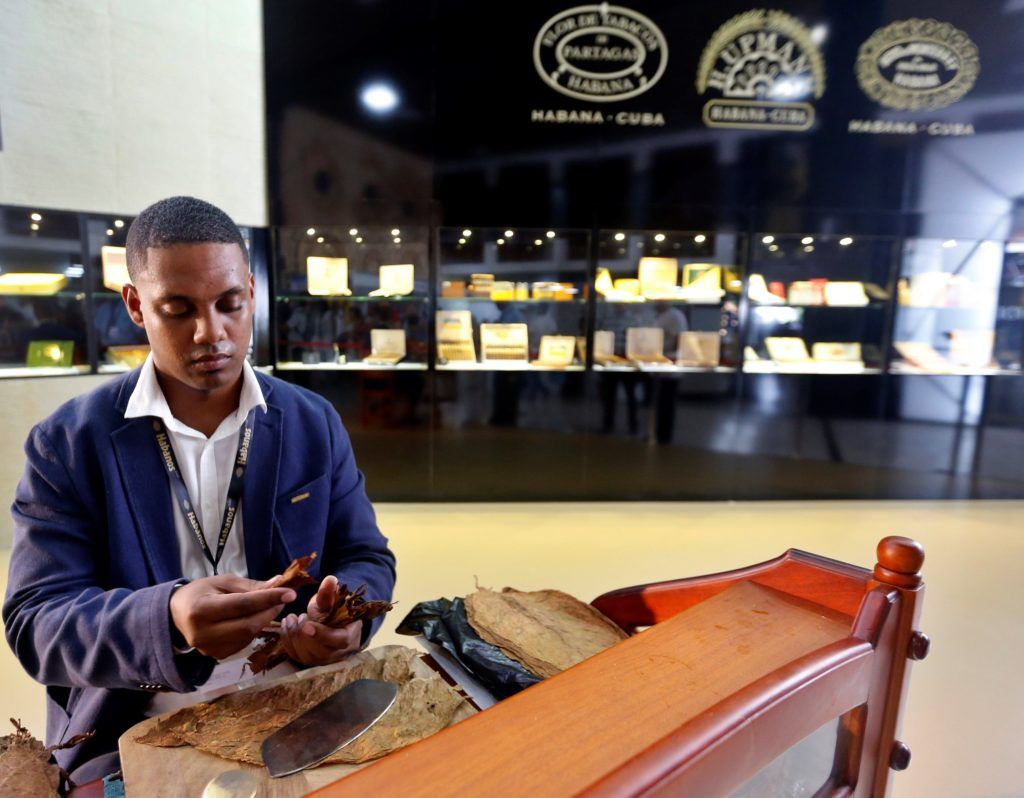 Un joven confecciona tabacos durante el XXI Festival del Habano, en febrero de 2019 en La Habana. Foto: Ernesto Mastrascusa / EFE / Archivo.