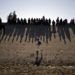 Migrantes cerca del paso fronterizo del Chaparral observan los enfrentamientos con la patrulla fronteriza de Estados Unidos, vistos desde Tijuana, México. (AP Foto/Ramón Espinosa, archivo)