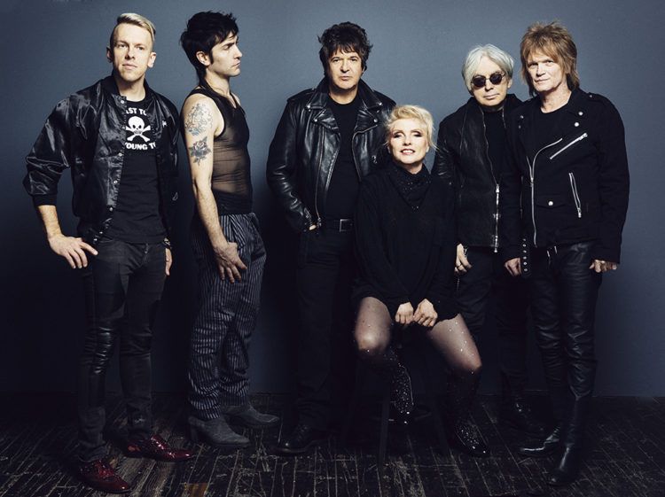 Blondie. Foto: Danielle St. Laurent.