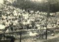 Las gradas del estadio Williamsport, en Pennsylvania. Foto: colección de Rafael Rosendiz y Abel Tarragó