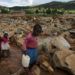 En imagen del viernes 22 de marzo de 2019, un grupo de menores cruza un riachuelo en Chimanimani, Zimbabue, en una zona devastada tras el paso de un ciclón en el sur de África. (AP Foto/KB Mpofu)