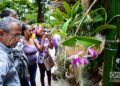 Festival de Orquídeas de 2019, en la Quinta de los Molinos, en La Habana. Foto: Otmaro Rodríguez.