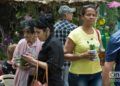 Festival de Orquídeas de 2019, en la Quinta de los Molinos, en La Habana. Foto: Otmaro Rodríguez.