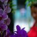 Festival de Orquídeas de 2019, en la Quinta de los Molinos, en La Habana. Foto: Otmaro Rodríguez.