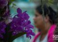 Flores en exhibición en el Festival de Orquídeas de 2019, en la Quinta de los Molinos, La Habana. Foto: Otmaro Rodríguez.