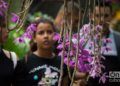 Festival de Orquídeas de 2019, en la Quinta de los Molinos, en La Habana. Foto: Otmaro Rodríguez.