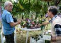 Festival de Orquídeas de 2019, en la Quinta de los Molinos, en La Habana. Foto: Otmaro Rodríguez.