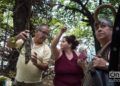 Festival de Orquídeas de 2019, en la Quinta de los Molinos, en La Habana. Foto: Otmaro Rodríguez.