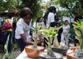 Festival de Orquídeas de 2019, en la Quinta de los Molinos, en La Habana. Foto: Otmaro Rodríguez.