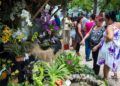 Festival de Orquídeas de 2019, en la Quinta de los Molinos, en La Habana. Foto: Otmaro Rodríguez.