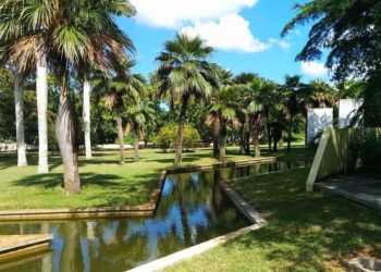 Jardín Botánico Nacional de Cuba, en La Habana. Foto: naturalezatropical.com